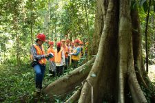 mestrado-em-ciencia-e-inovacao-florestal-vai-ampliar-conhecimento-nas-areas-de-manejo-de-florestas-nativas-e-de-producao