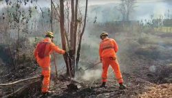 combate-a-incendio-proximo-ao-parque-da-lapa-grande-dura-seis-horas-em-montes-claros