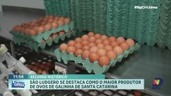 santa-catarina-registra-recorde-na-producao-de-ovos,-liderada-por-sao-ludgero