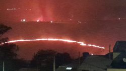 incendio-atinge-area-de-mata-proximo-ao-pedagio-da-anhanguera-em-nova-odessa