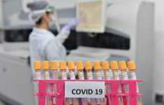 coronavirus:-nova-variante-do-causador-da-covid-19-e-encontrada-em-sc