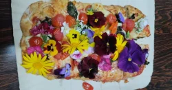 pizza-com-flores-e-expositores-internacionais-serao-destaque-da-festa-das-flores-de-joinville