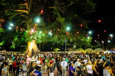 luau-da-samauma-conta-com-exposicoes-e-shows-culturais-em-macapa;-veja-programacao