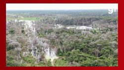 mp-denuncia-pecuarista,-engenheiro,-piloto-e-empresa-por-desmate-quimico-de-81-mil-hectares-no-pantanal-de-mt