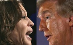 kamala-e-trump-se-cercam-de-celebridades-em-estados-chave