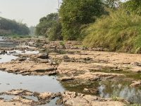 com-falta-de-agua,-rio-claro-decreta-situacao-de-emergencia;-entenda-o-que-muda