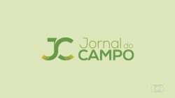 jornal-do-campo-de-domingo,-20-de-outubro-de-2024