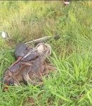 casal-morre-em-acidente-de-motocicleta-na-br-364-em-rio-branco