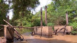 moradores-esperam-reconstrucao-de-ponte-ha-quatro-anos-e-se-arriscam-em-travessia:-‘pinguela-com-a-agua-na-cintura’