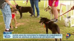 super-adocao:-oitava-edicao-atrai-familias-em-busca-de-novos-lares-para-pets