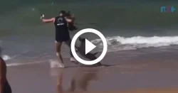 video:-tutor-pula-no-mar-para-salvar-pet-de-ataque-euforico-de-pitbull-solto-em-praia