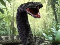 titanoboa:-maior-cobra-do-mundo-ja-descoberta-era-do-tamanho-de-um-onibus-escolar