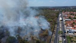 video:-incendio-atinge-vegetacao-em-terreno-da-ufpi,-em-teresina