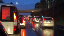 chuva-causa-queda-de-arvore-as-margens-de-rodovia-em-rio-preto-e-interdicao-parcial-no-transito