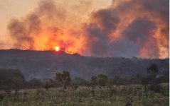 prejuizo-de-ate-r$-1,5-bilhao-e-ameaca-a-biodiversidade:-queimadas-crescem-mais-de-130%-em-goias-em-2024,-e-profissionais-tracam-estrategias-de-prevencao