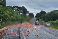 carretas-carregadas-de-bovinos-e-cervejas-colidem-e-carga-se-espalha-pela-pista-em-sc