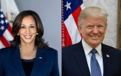 kamala-ou-trump:-o-que-cada-candidato-precisa-para-conquistar-a-presidencia?