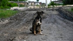 tempestade-rafael-se-converte-em-furacao-rumo-a-cuba