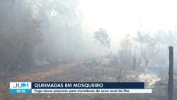 incendio-consome-mata-em-mosqueiro,-ilha-de-belem;-fogo-atinge-plantacoes-e-destroi-casas