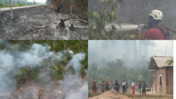 gabinete-de-crise-e-instalado-apos-familias,-animais-e-plantacoes-serem-afetados-por-incendio-florestal-em-belem