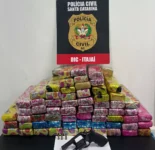 policia-encontra-50kg-de-maconha-dentro-de-construcao-em-itajai