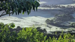 geada-em-plena-primavera-e-registrada-em-sao-joaquim;-veja-fotos-e-video