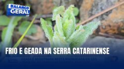 sao-joaquim-registra-geada-fraca-com-temperatura-de-2,5°c-na-serra-catarinense