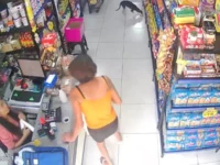 camera-flagra-cachorro-ladrao-‘no-crime’-em-mercado-e-cena-diverte-internautas