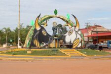 duelo-na-fronteira:-batalha-entre-os-bois-bumbas-flor-do-campo-e-malhadinho-comeca-neste-sabado