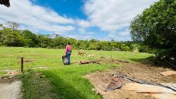 censo:-cidade-do-interior-de-sp-ganha-mais-moradores-na-zona-rural-que-urbana