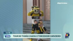 criciuma-em-movimento:-campanha-‘o-tigre-fica’-agita-torcedores