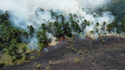 ap-registra-mais-de-500-focos-de-incendios-florestais-em-30-dias;-combate-e-intensificado