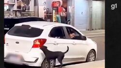 policia-investiga-mulheres-que-abandonaram-cachorro-em-praca-na-baixada-fluminense;-video